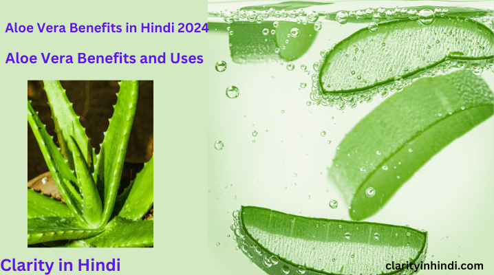 Benefits and uses of Aloe Vera