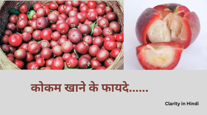 kokum in hindi