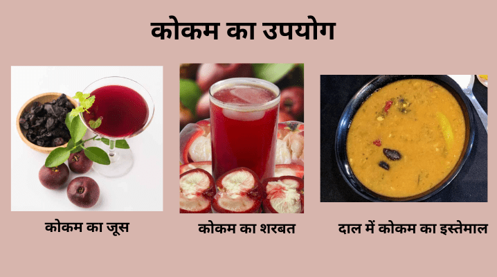 Kokum in Hindi